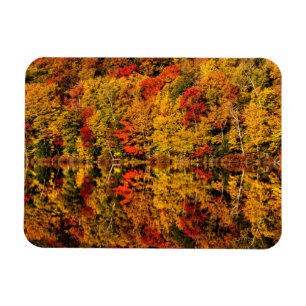 Herfstreflectie op Russell Pond   New Hampshire Magneet