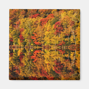 Herfstreflectie op Russell Pond   New Hampshire Magneet