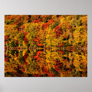 Herfstreflectie op Russell Pond   New Hampshire Poster