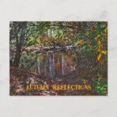 Herfstreflecties Bergstroom Fotografisch Briefkaart (Voorkant)