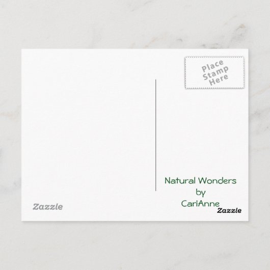 Herfstreflecties Briefkaart (Achterkant)