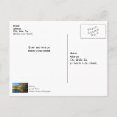 Herfstreflecties Buffalo-rivier Bedankkaart Briefkaart (Achterkant)