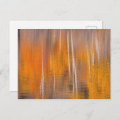 Herfstreflecties op Beaver Pond | Winthrop, WA Briefkaart (Voorkant / Achterkant)