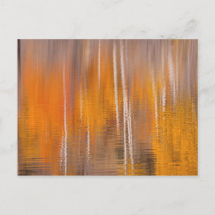 Herfstreflecties op Beaver Pond   Winthrop, WA Briefkaart