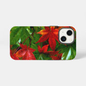 Herfstregen iPhone Hoesje (Achterkant horizontaal)