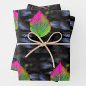 Herfstroest – Rustiek Red Leaf Wrapping Paper (In situ)