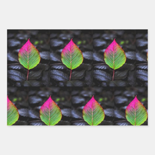 Herfstroest – Rustiek Red Leaf Wrapping Paper (Voorkant)