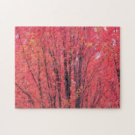 Herfstrood - Herfst Legpuzzel