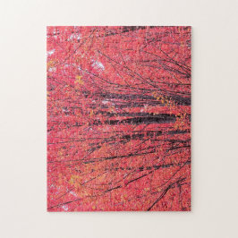 Herfstrood - Herfst Legpuzzel