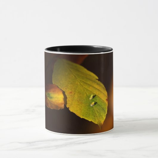 Herfstscène Mok (Midden)