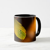 Herfstscène Mok (Voorkant rechts)