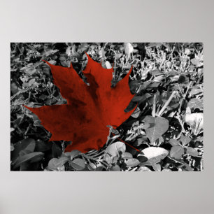 herfstschoppen poster