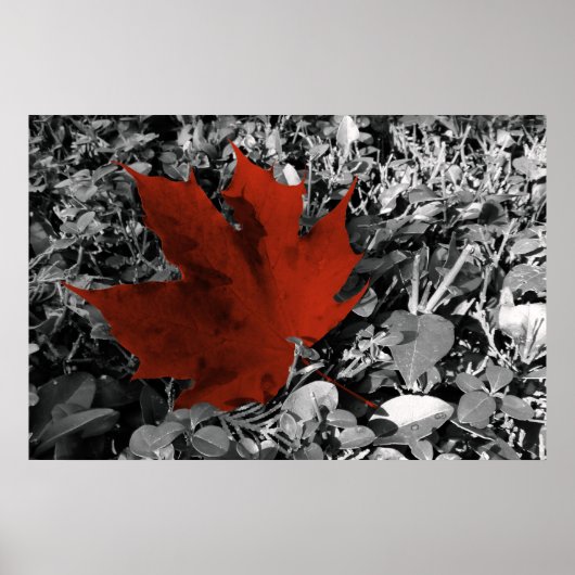 herfstschoppen poster (Voorkant)