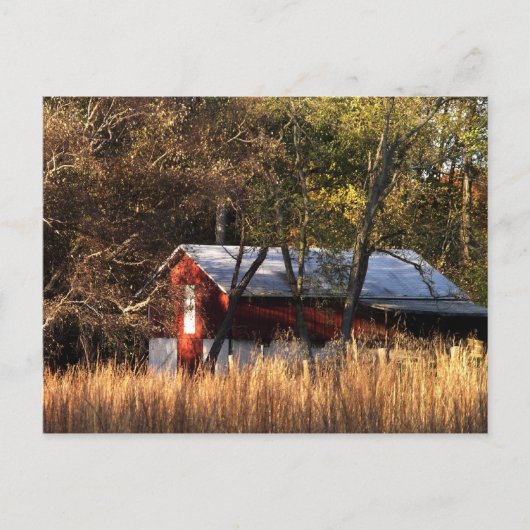 Herfstschuur in Centraal Maryland Briefkaart (Voorkant)