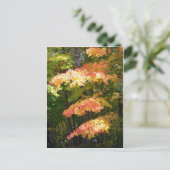 herfstsplendor briefkaart (Staand voorkant)