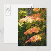 herfstsplendor briefkaart (Voorkant / Achterkant)