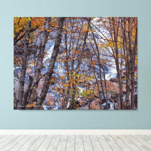 Herfststroom Canvas Afdruk (Insitu (Houten vloer))