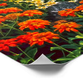 Herfstsymfonie. Bloemenharmonie van de Natuur. Poster (Hoek)