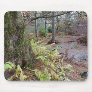 Herfsttafereel in een botanische tuin. muismat