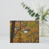 Herfstvijver met zwaan briefkaart (Staand voorkant)