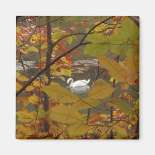 Herfstvijver met zwaan magneet