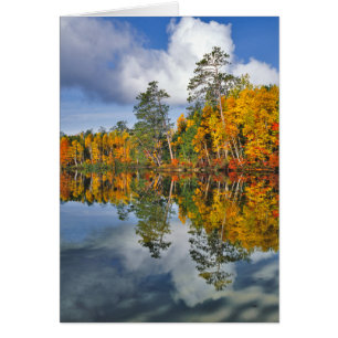 Herfstvijverreflecties, Maine