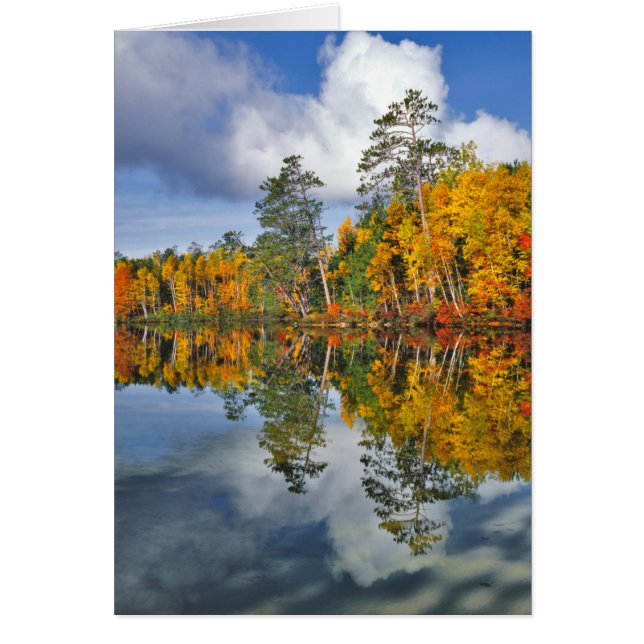 Herfstvijverreflecties, Maine (Voorkant)