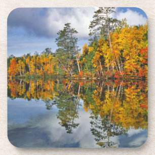 Herfstvijverreflecties, Maine Bier Onderzetter