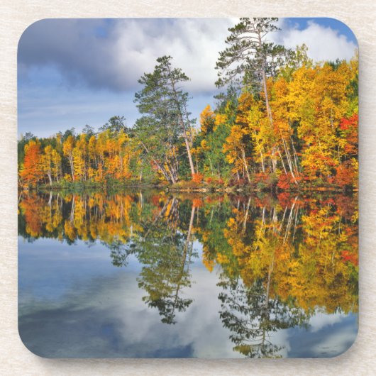 Herfstvijverreflecties, Maine Bier Onderzetter (Voorkant)
