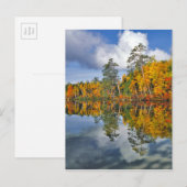 Herfstvijverreflecties, Maine Briefkaart (Voorkant / Achterkant)