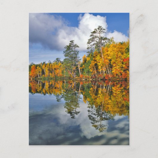 Herfstvijverreflecties, Maine Briefkaart (Voorkant)