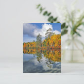 Herfstvijverreflecties, Maine Briefkaart (Staand voorkant)
