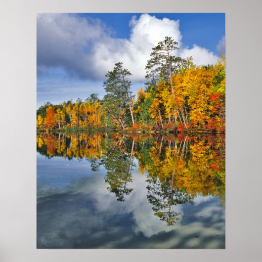 Herfstvijverreflecties, Maine Poster (Voorkant)