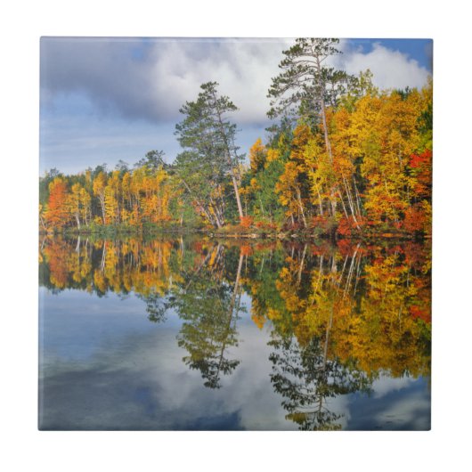 Herfstvijverreflecties, Maine Tegeltje (Voorkant)