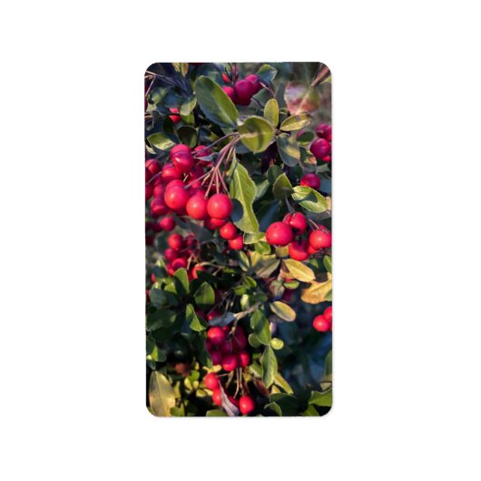 herfstvrucht etiket (Voorkant)