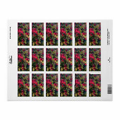 herfstvrucht etiket (Full Sheet)