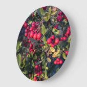 herfstvrucht grote klok (Hoek)