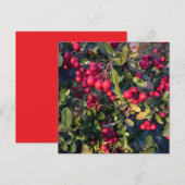 herfstvrucht kaart (Voorkant / Achterkant)