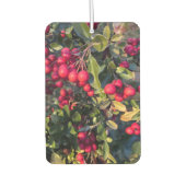 herfstvrucht luchtverfrisser (Voorkant)