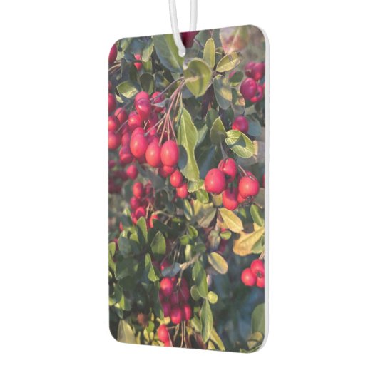 herfstvrucht luchtverfrisser (Links)