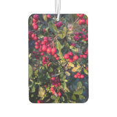 herfstvrucht luchtverfrisser (Achterkant)