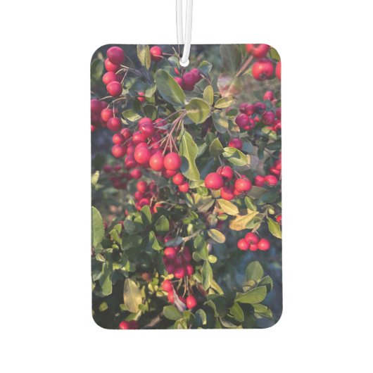 herfstvrucht luchtverfrisser (Achterkant)