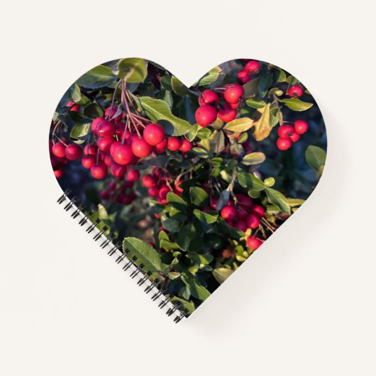 herfstvrucht notitieboek (Voorkant)