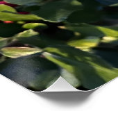 herfstvrucht perfect poster (Hoek)