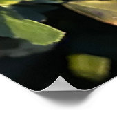 herfstvrucht poster (Hoek)