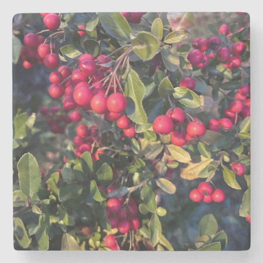 herfstvrucht stenen onderzetter (Voorkant)