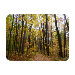 Herfstwandelpad en gouden bladeren in Laurel Hill Magneet