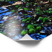 Herfstwateren Foto Afdruk (Hoek)