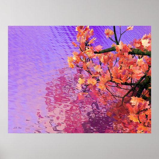 Herfstwateren Poster (Voorkant)