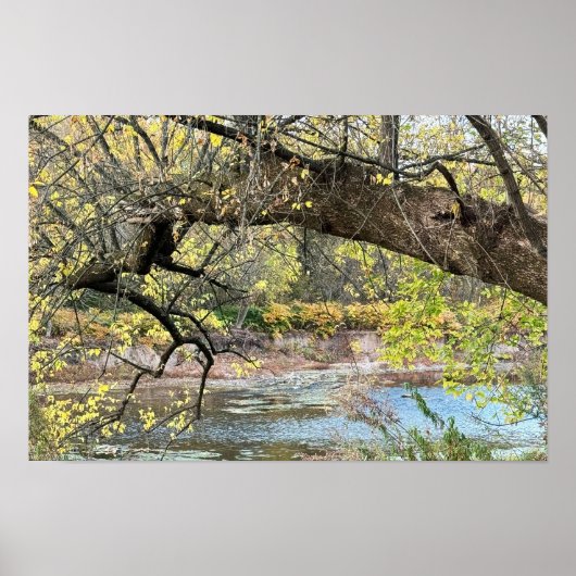Herfstwaterschapsposter Poster (Voorkant)